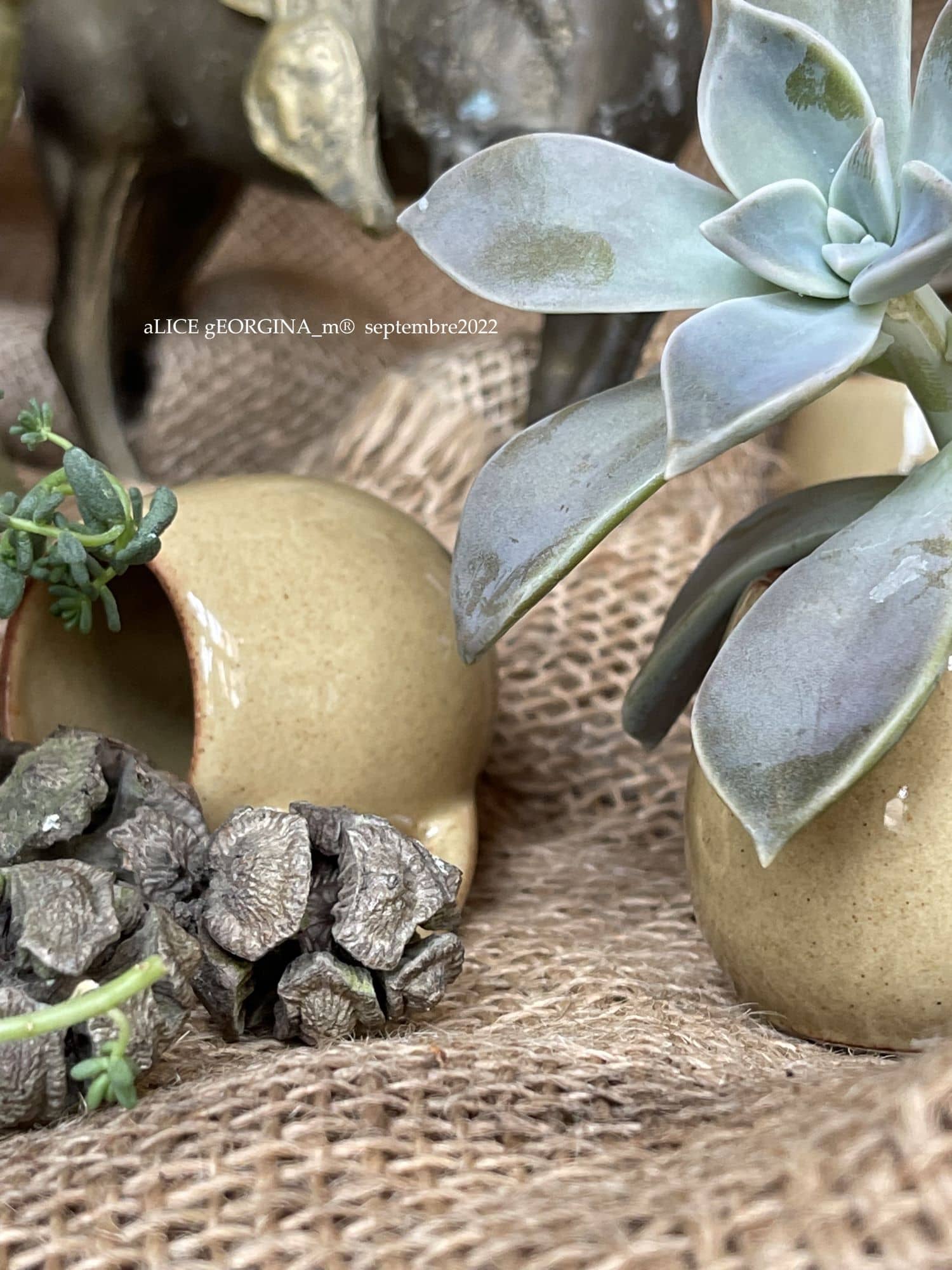 Arrangement d'objets chinés de seconde main, kaki