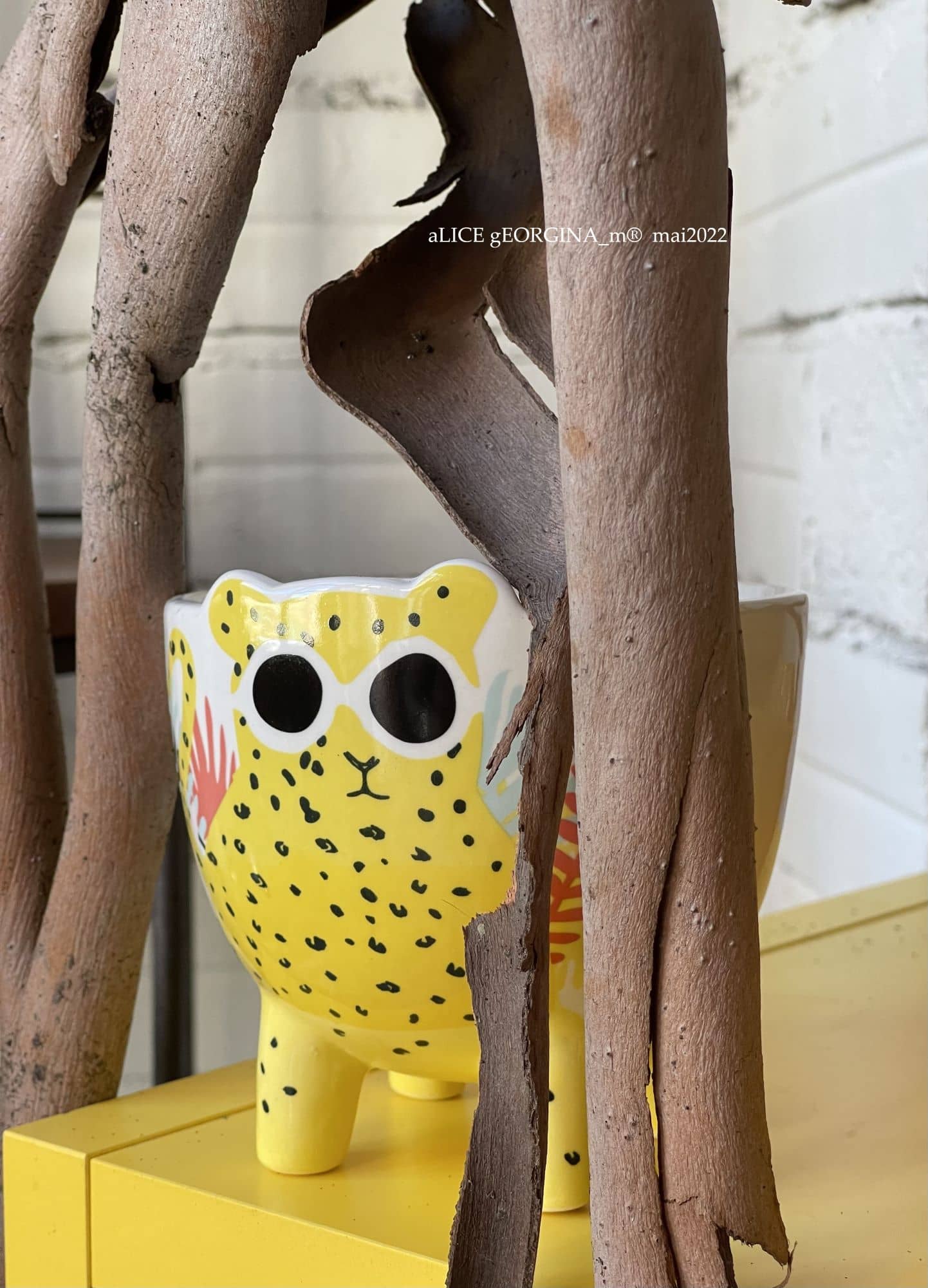 Arrangement d'objets chinés de seconde main, jaune