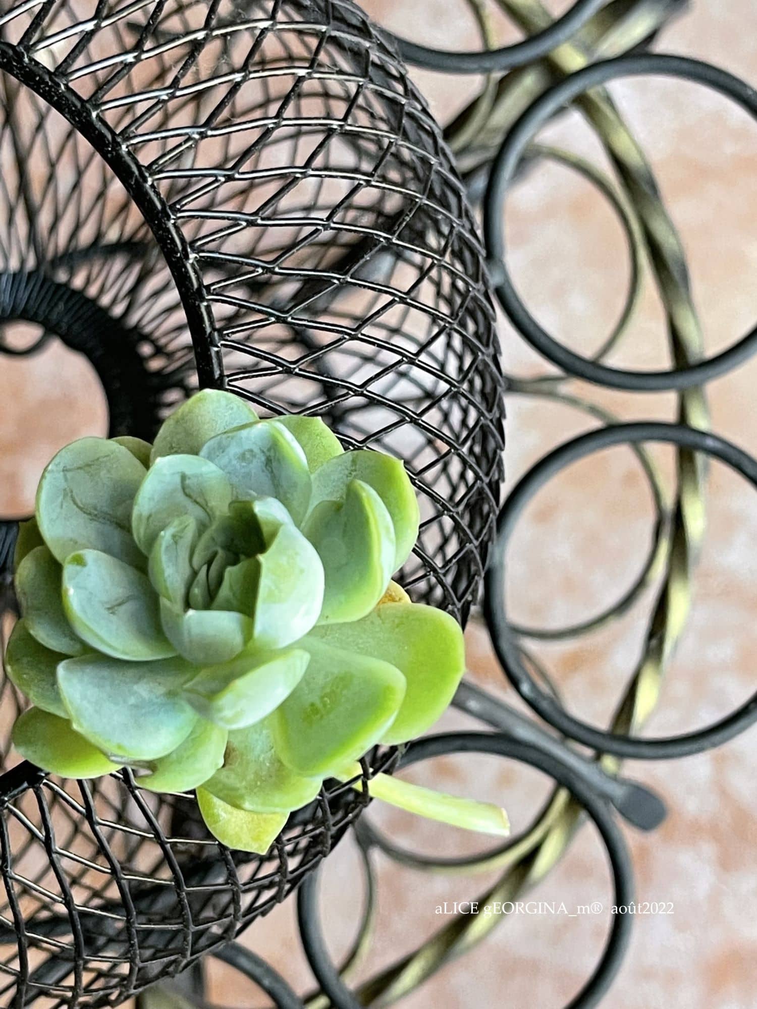 Arrangement d'objets chinés de seconde main, noir