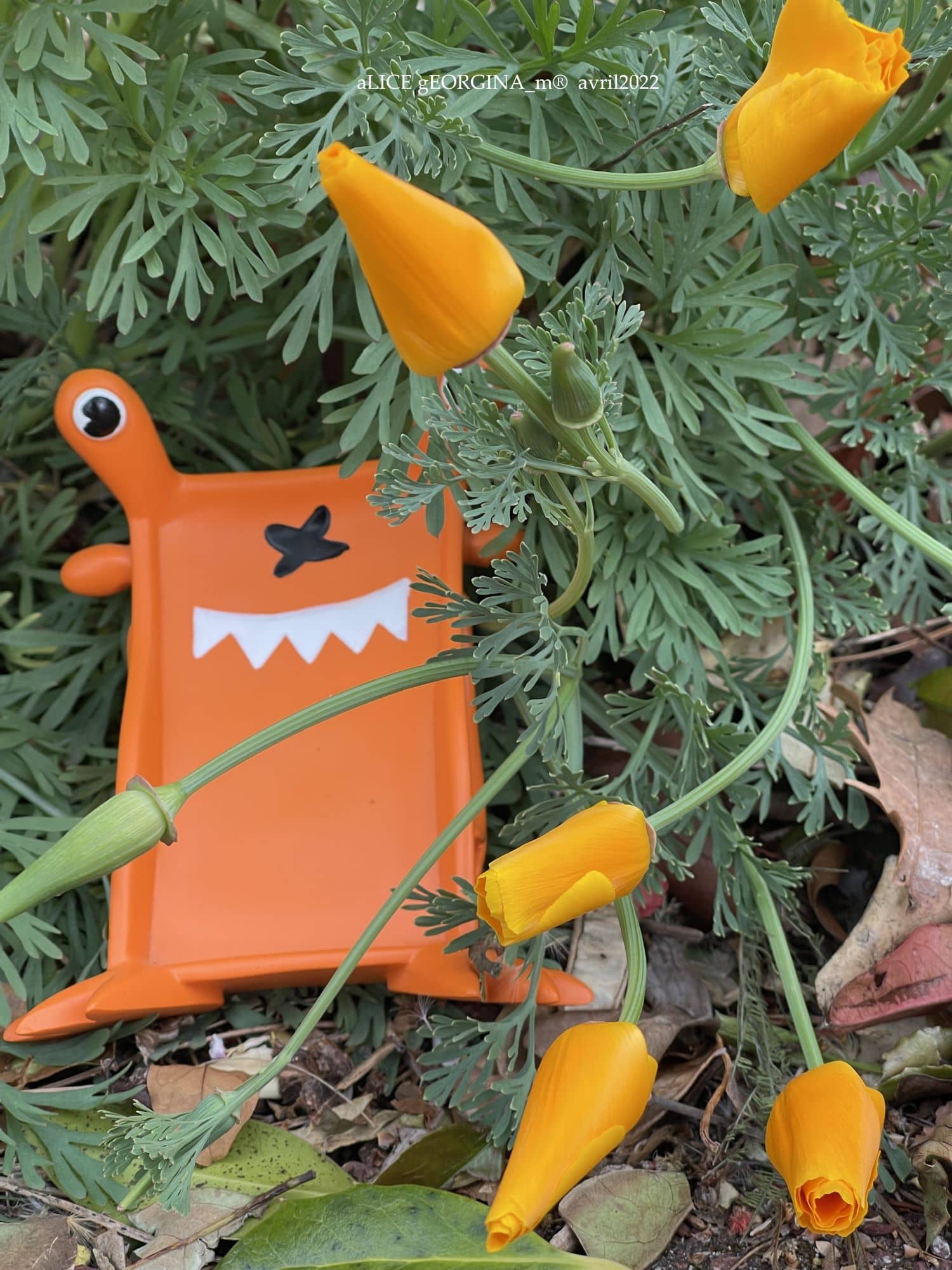 Arrangement d'objets chinés de seconde main, orange