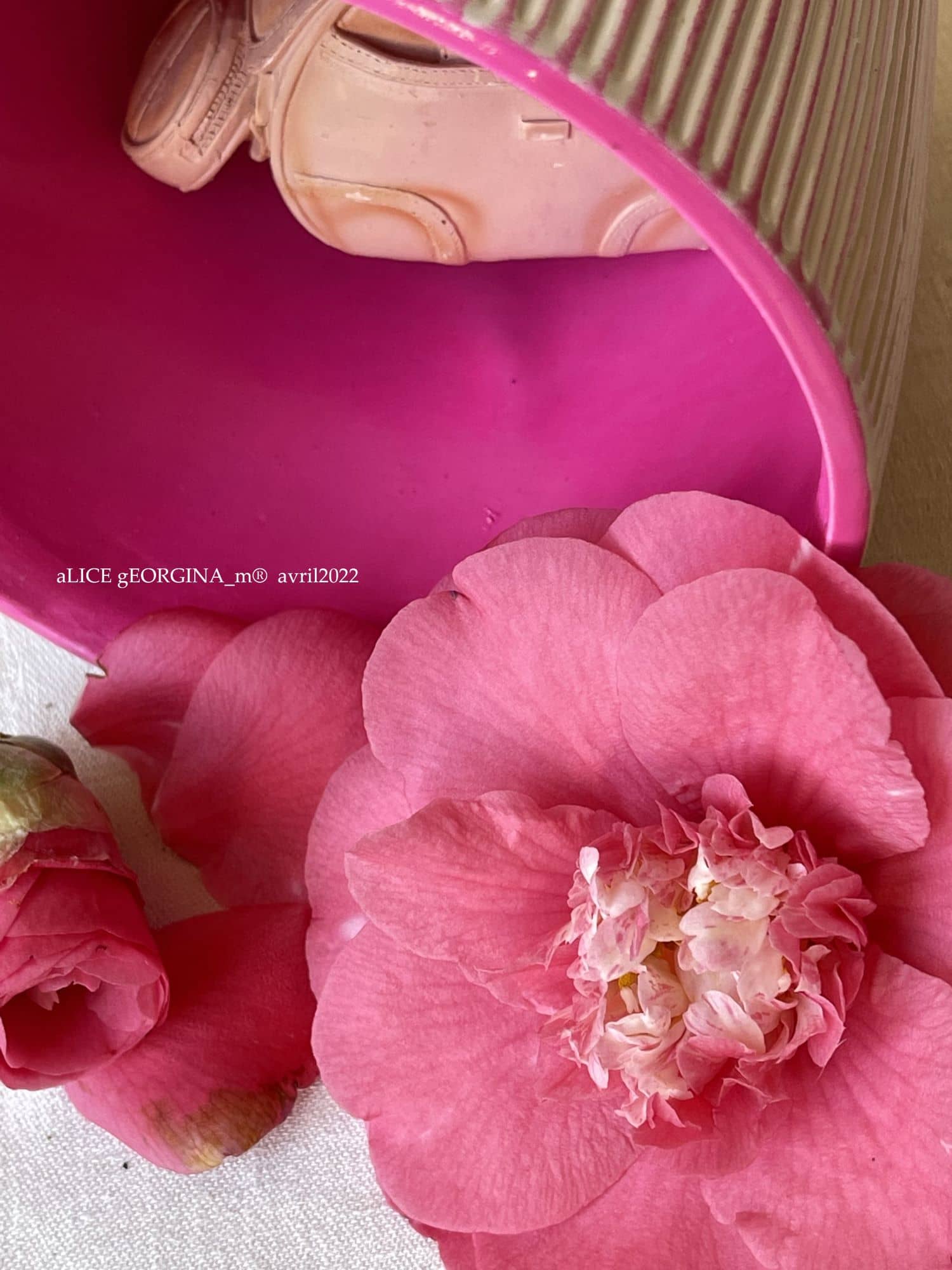 Arrangement d'objets chinés de seconde main, fuschia