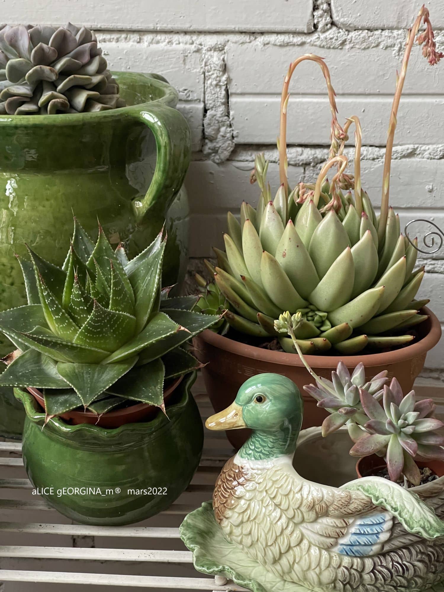Arrangement d'objets chinés de seconde main, vert