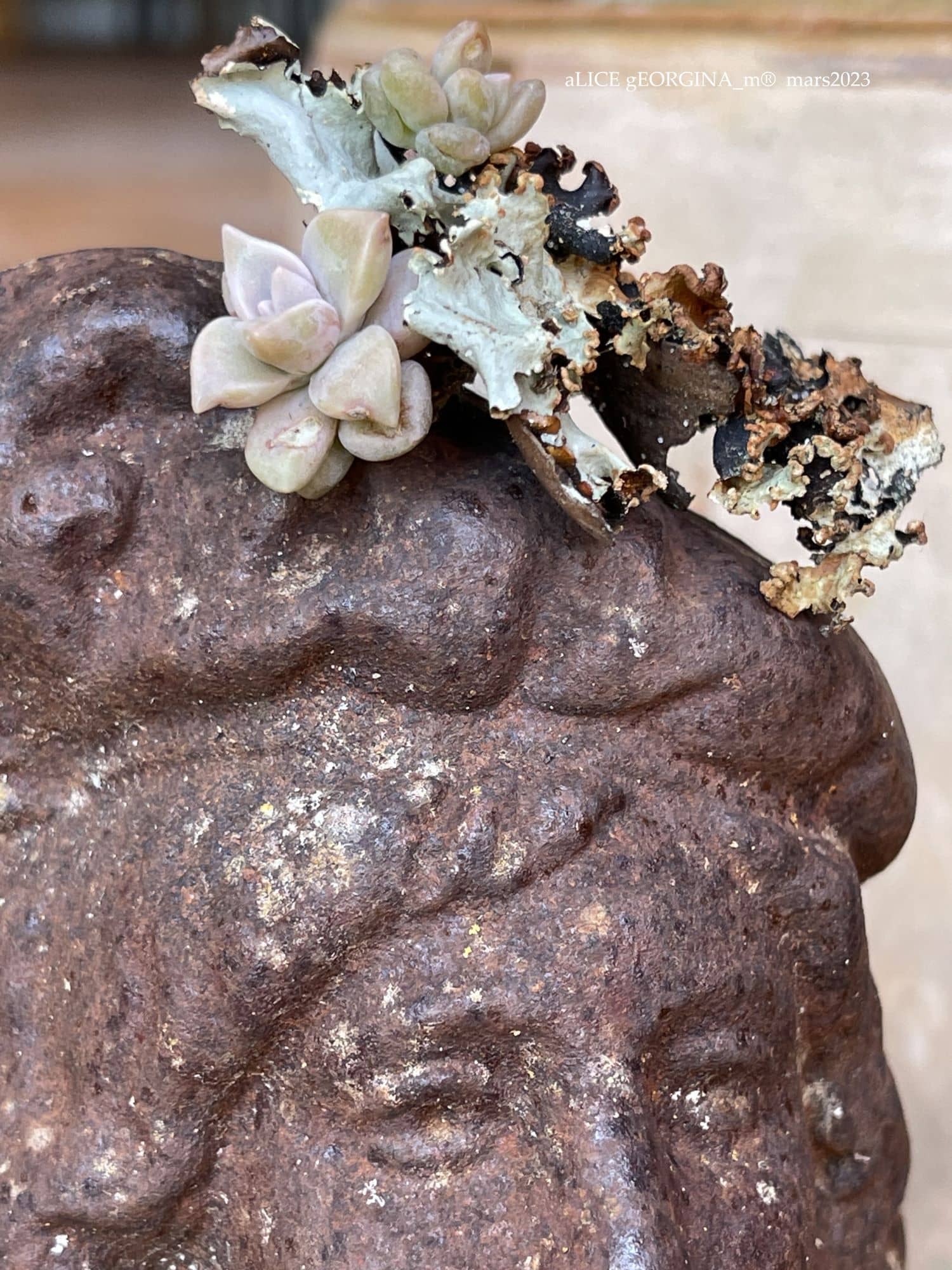 Arrangement d'objets chinés de seconde main, Comme tu es