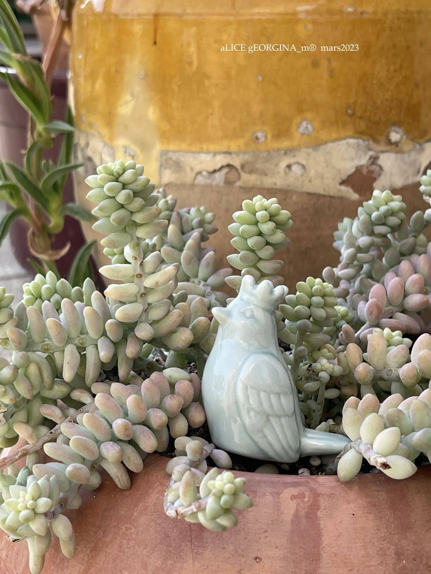 Arrangement d'objets chinés de seconde main, Le nez dehors