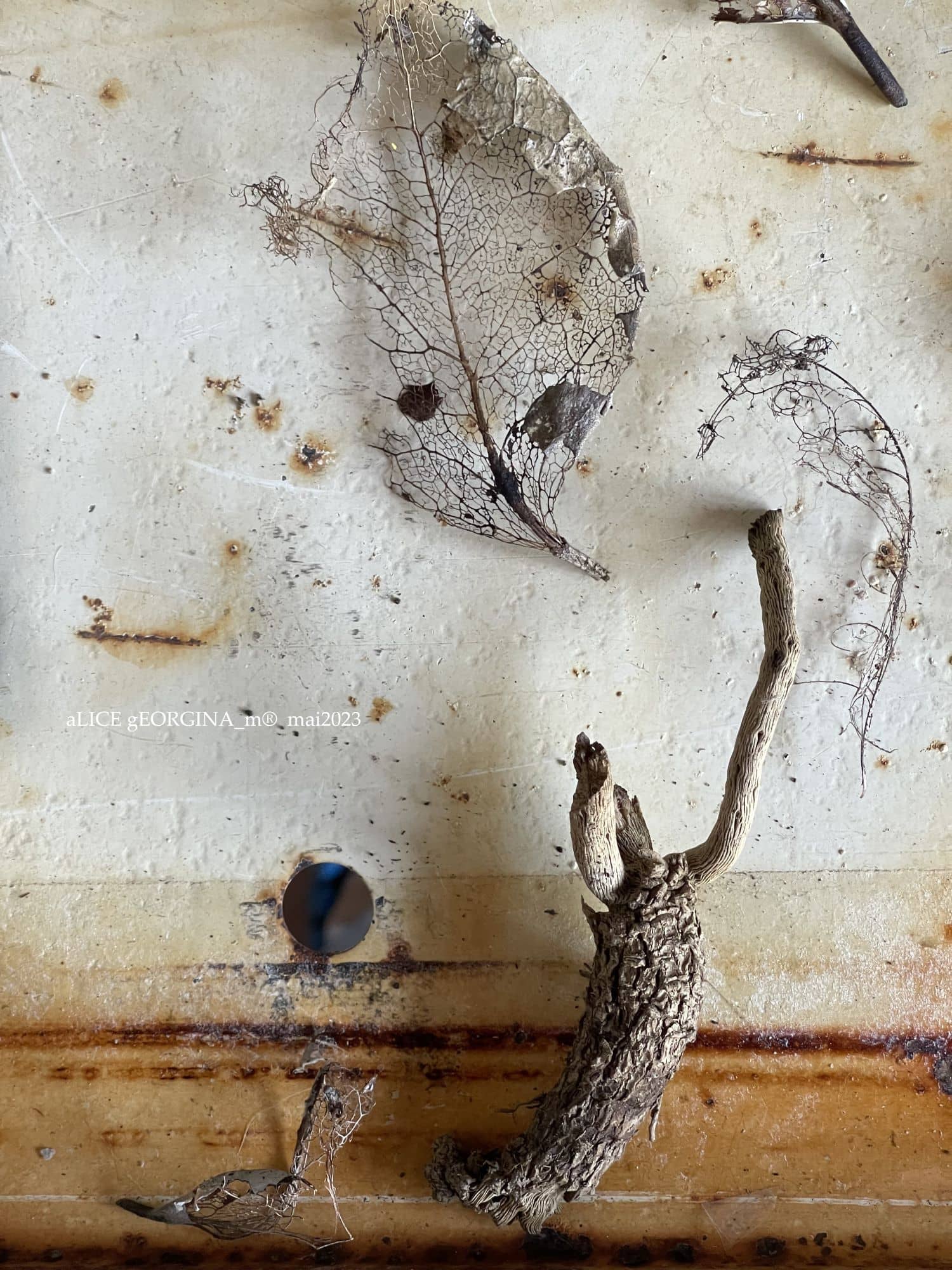 Arrangement d'objets chinés de seconde main, Cabinet de curiosité