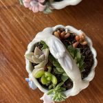 Une composition végétale de plantes succulentes avec un panier fleuri en porcelaine