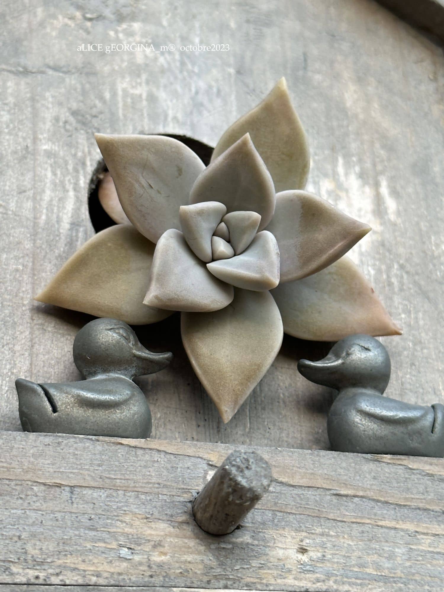 Arrangement d'objets chinés de seconde main, La paire