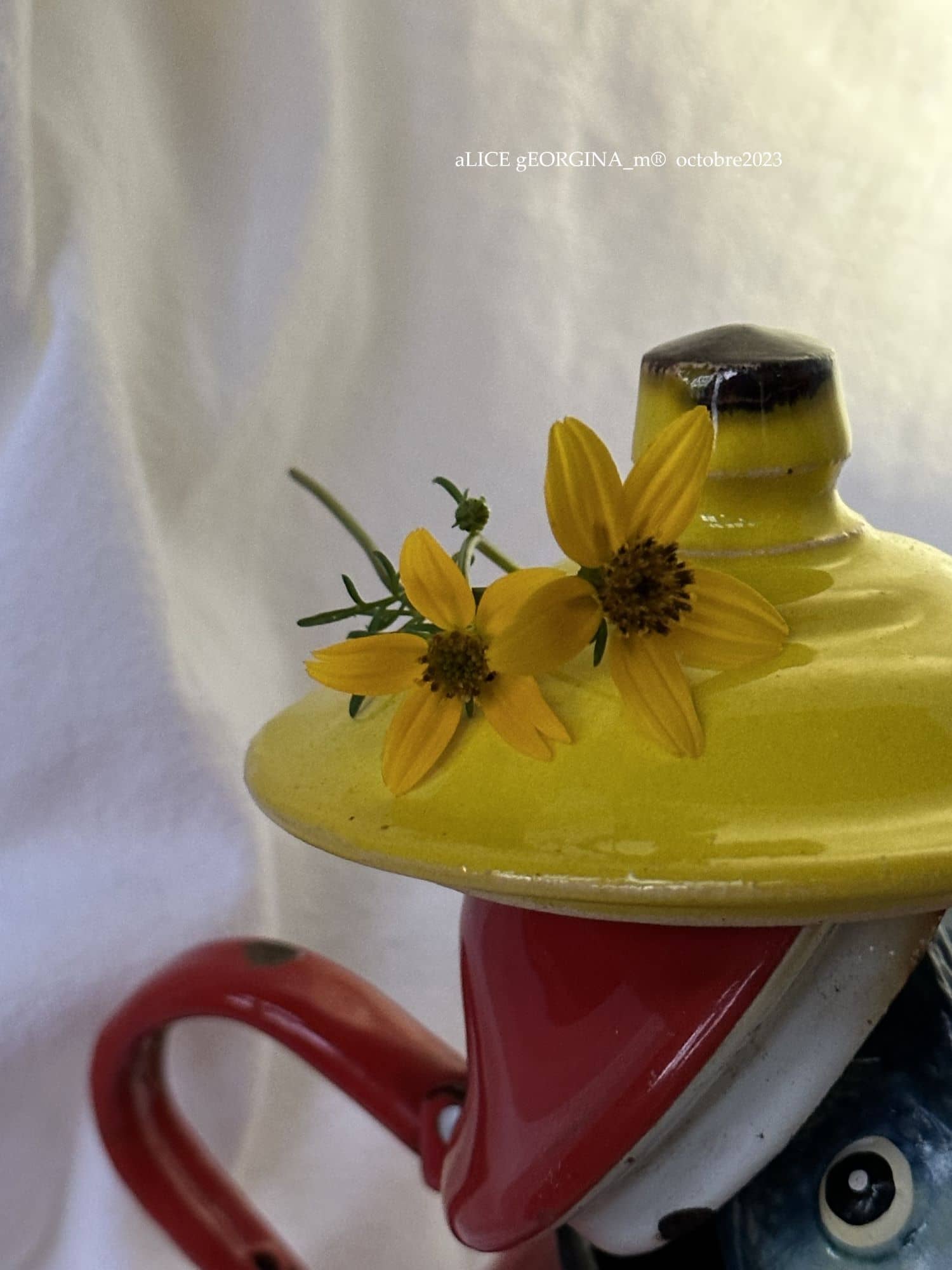 Arrangement d'objets chinés de seconde main, Primaire