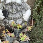 Une composition végétale de plantes succulentes avec un seau en acier galvanisé zinc perforé de motifs soleil et pomme de pin