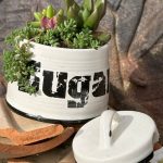 Une composition végétale de plantes succulentes avec un pot à sucre en céramique noir et blanc avec inscription Sugar et son couvercle