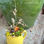 Une composition végétale de plantes succulentes avec un crémier en céramique jaune et une miniature faon en verre brun