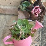Une composition végétale de plantes succulentes avec un arrosoir en métal rose