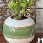 Composition végétale de plantes grasses avec un vase boule en céramique rayé blanc, vert et ocre