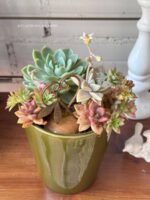 Composition végétale de plantes succulentes avec un pot en céramique vert au format géométrique, un coeur en métal aspect rouille et une suspension libellule en métal