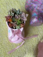 Composition végétale de plantes succulentes avec un chausson en céramique rose, motif à carreau et fleuri