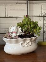 Composition végétale de plantes succulentes avec un pot en céramique blanc, relief noeud