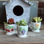 Composition végétale de plantes succulentes avec un ensemble de 3 coquetiers miniatures, marque Afibel, motif fleurs et fruits en reliefs peints