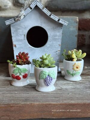 Composition végétale de plantes succulentes avec un ensemble de 3 coquetiers miniatures, marque Afibel, motif fleurs et fruits en reliefs peints