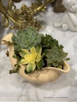 Composition végétale de plantes succulentes avec un pot en céramique jaune Longchamps