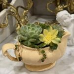Composition végétale de plantes succulentes avec un pot en céramique jaune Longchamps