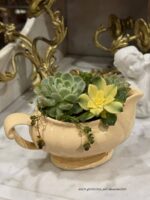 Composition végétale de plantes succulentes avec un pot en céramique jaune Longchamps