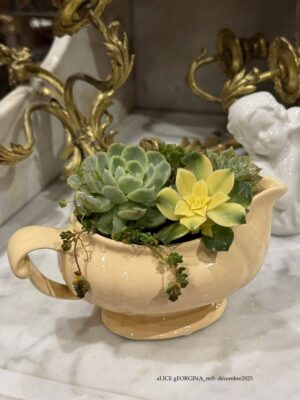 Composition végétale de plantes succulentes avec un pot en céramique jaune Longchamps