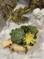 Composition végétale de plantes succulentes avec un pot en céramique jaune Longchamps