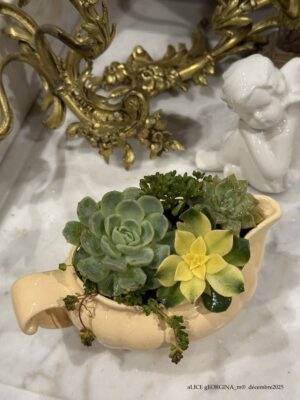 Composition végétale de plantes succulentes avec un pot en céramique jaune Longchamps