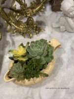 Composition végétale de plantes succulentes avec un pot en céramique jaune Longchamps