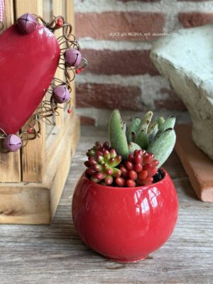 Composition végétale de plantes succulentes avec un petit pot rond en céramique rouge