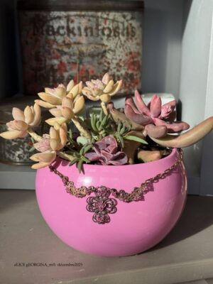 Composition végétale de plantes succulentes avec un pot en céramique rose et un collier en métal strass rose