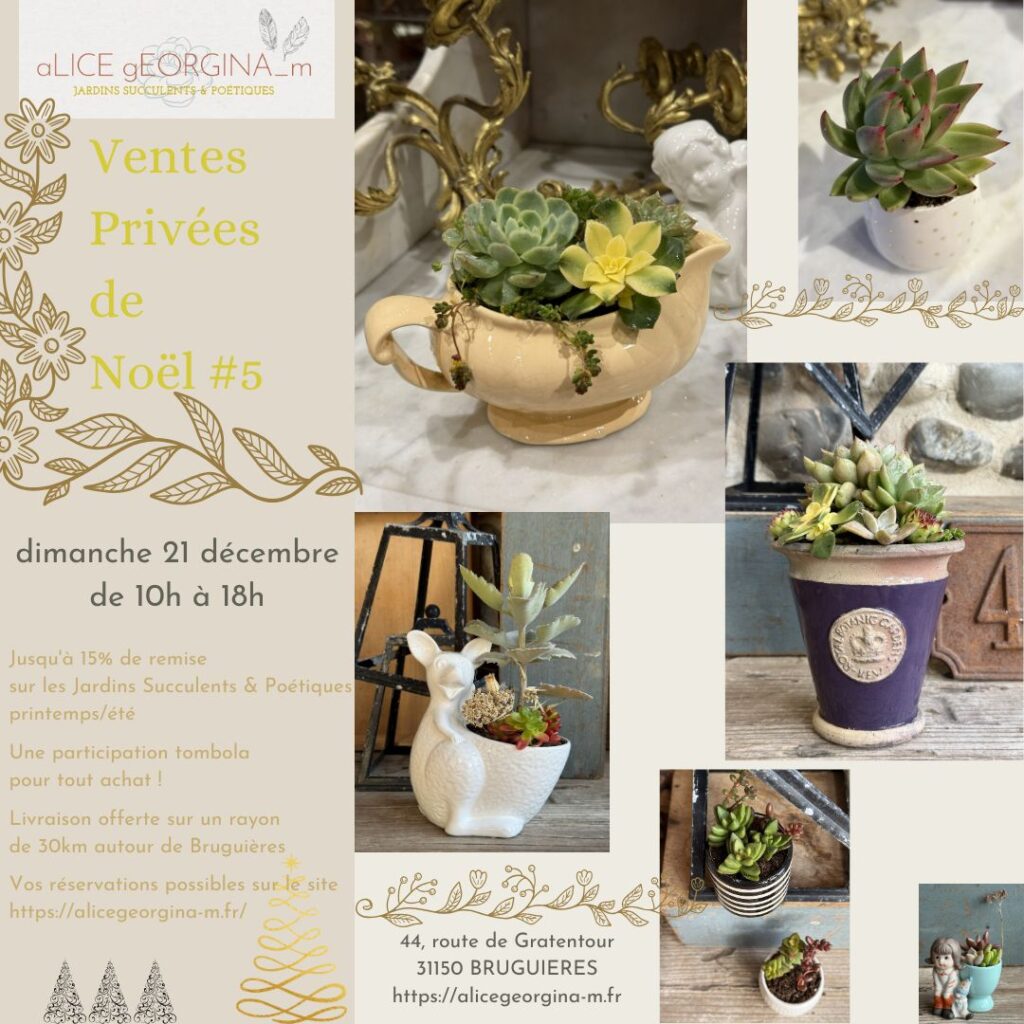 Affiche ventes privées de Noël 2025 ALICE GEORGINA M