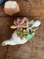 Composition végétale de plantes succulentes avec une théière miniature zoomorphe éléphant en porcelaine