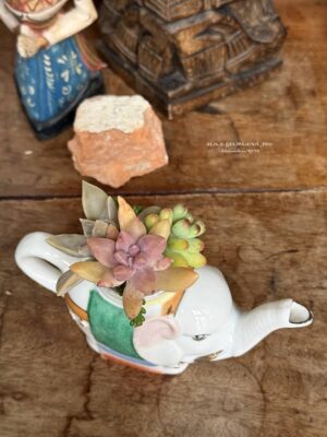Composition végétale de plantes succulentes avec une théière miniature zoomorphe éléphant en porcelaine
