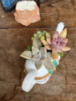 Composition végétale de plantes succulentes avec une théière miniature zoomorphe éléphant en porcelaine