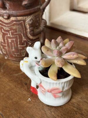 Composition végétale de plantes succulentes avec un pot miniature en porcelaine orné d'une souris miniature en jupe