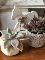 Composition végétale de plantes succulentes avec 2 pots en grès blanc et gris à motif plumetis