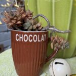 Composition végétale de plantes succulentes avec un mug en céramique marron, relief côtelé et inscription Chocolat