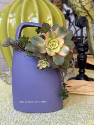 Composition végétale de plantes succulentes avec un pot en céramique violet de forme haute avec anse