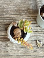 Composition végétale de plantes succulentes avec 1 tasse et 1 boîte en porcelaine carrées, motif géométrique