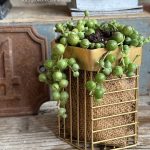 Composition végétale de plantes succulentes avec une boîte en fil métal doré