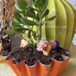 Composition végétale de plantes succulentes avec un moule à brioche en métal orange, patiné et un phacochère miniature en terre vernissé