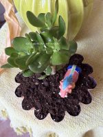Composition végétale de plantes succulentes avec un moule à brioche en métal orange, patiné et un phacochère miniature en terre vernissé