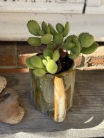 Composition végétale de plantes succulentes avec un mug artisan en grès ocre