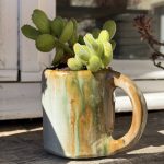 Composition végétale de plantes succulentes avec un mug artisan en grès ocre