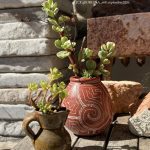 Composition végétale de plantes succulentes avec un pot ovoide en terre cuite motif géométriques origine Grèce , et un pichet miniature artisanal