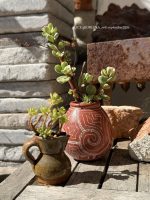 Composition végétale de plantes succulentes avec un pot ovoide en terre cuite motif géométriques origine Grèce , et un pichet miniature artisanal