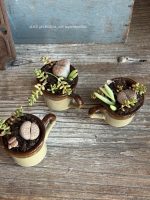Composition végétale de plantes succulentes avec trois tasses en grès marron bicolores